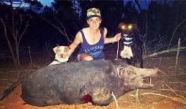 猎猪在线观看,揭秘网络猎奇背后的惊悚故事