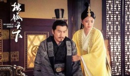 老杨爆料赵匡胤视频播放,老杨爆料视频背后的历史真相