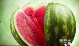 网红吃瓜群黑历史,那些被遗忘的黑历史瞬间